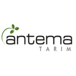 Antema-Tohum
